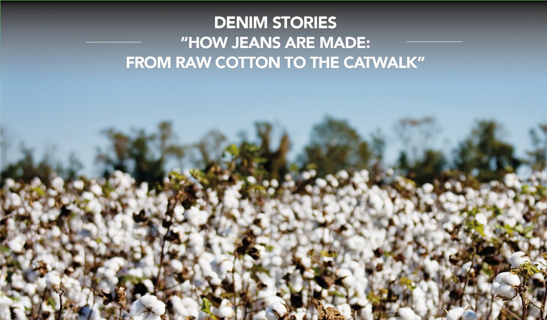 DENIM STORIES. How jeans are made: from raw cotton to the catwalk